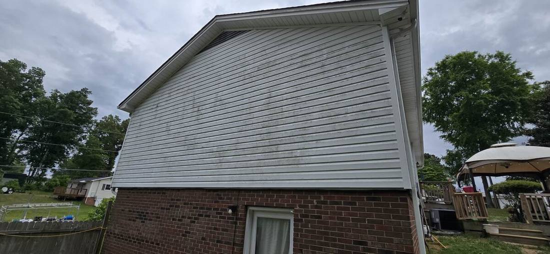 Vinyl siding before soft wash showing algae and mildew