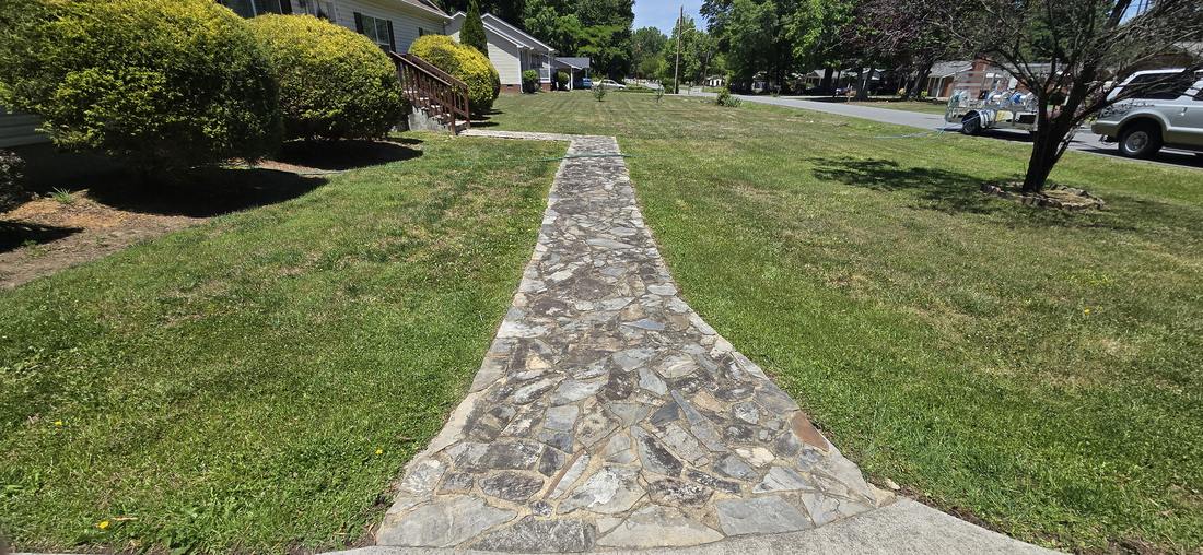 Stone & Paver Cleaning before